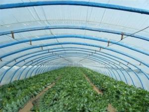 鋼架大棚選址的時候要注意什么？